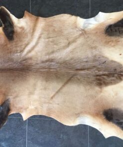 Fell-shop_Wildtierfell_Kuhantilopenfell