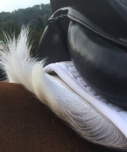 Sattelpad aus Rentierfell