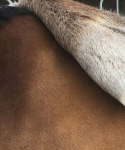 Sattelpad aus Rentierfell