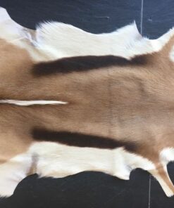 Fell-shop Springbock