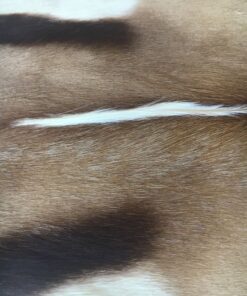 Fell-shop Springbock