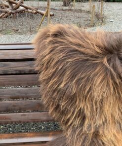 islaendisches Lammfell