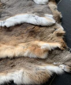 Schweizer Kaninfelle