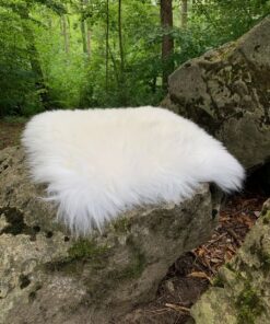 Sitzauflagen quadratisch