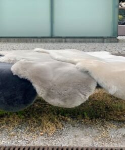 neuseeländische Lammfelle geschoren