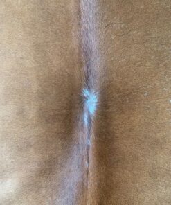 Kuhfell fuchsbraun weiss gesprenkelt