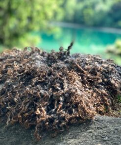 Sitzauflagen aus Gotlandschurwolle