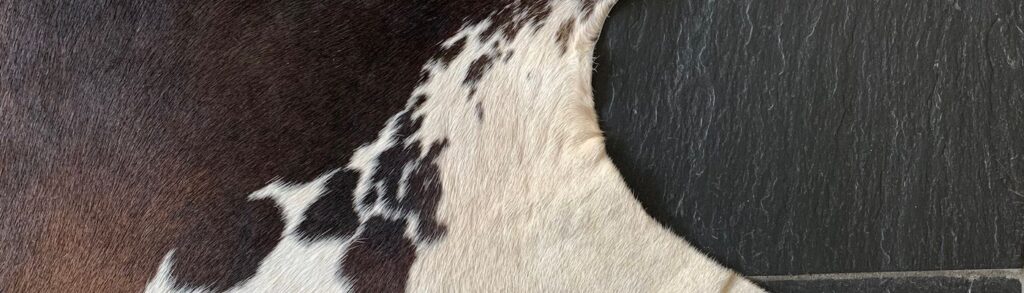 Fell-shop_Headerbild_Kuhfell