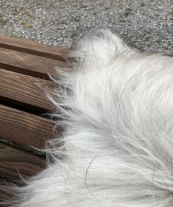 Islaendisches Lammfell