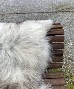 Islaendisches Lammfell