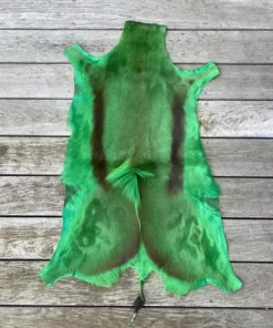 Springbock Naturfell gefärbt