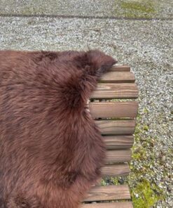 einheimisches Lammfell naturbunt