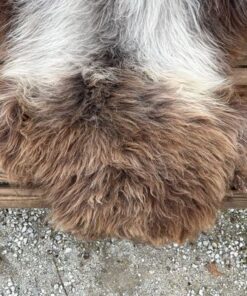 einheimisches Lammfell